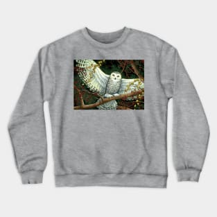 Winter Owl Crewneck Sweatshirt